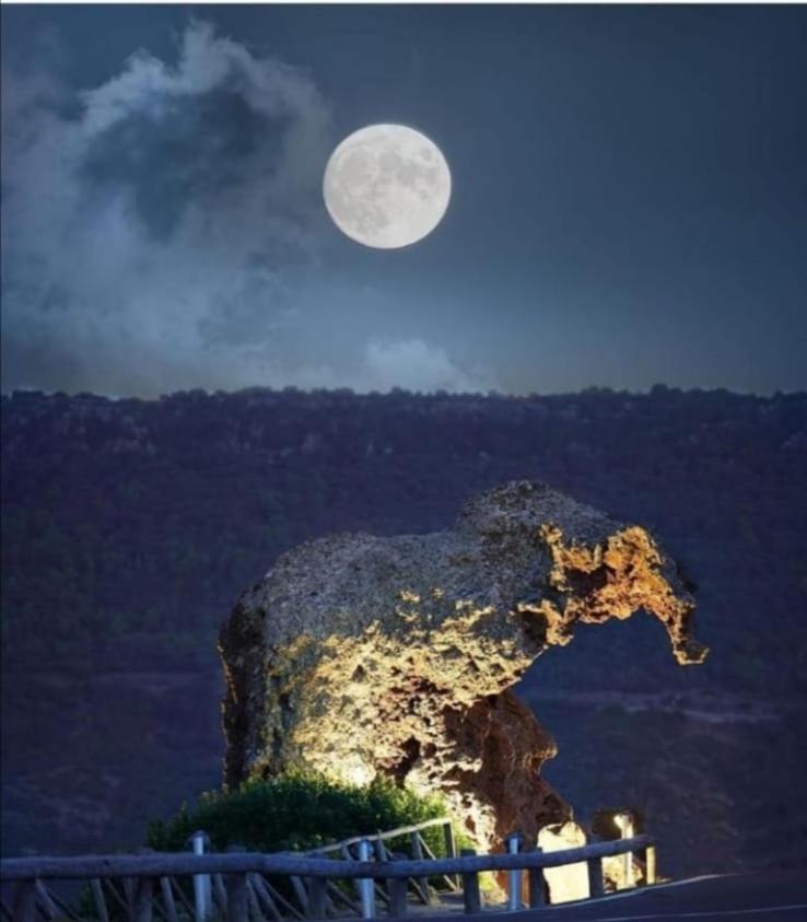 Tra Blu E Celeste Daire Castelsardo Dış mekan fotoğraf
